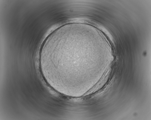 X0000116630994201001221357