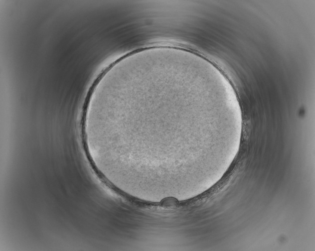 X0000116630995201001221357