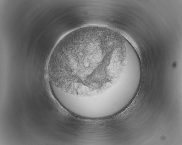 X0000116630996201001221357