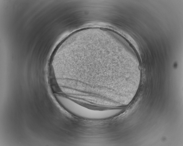 X0000116630997201001221357