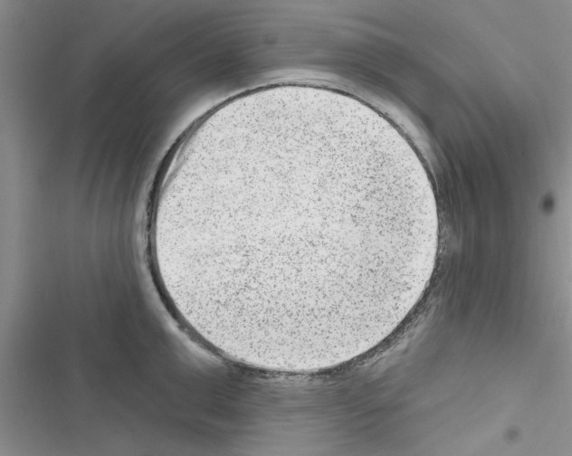 X0000116630999201001221357