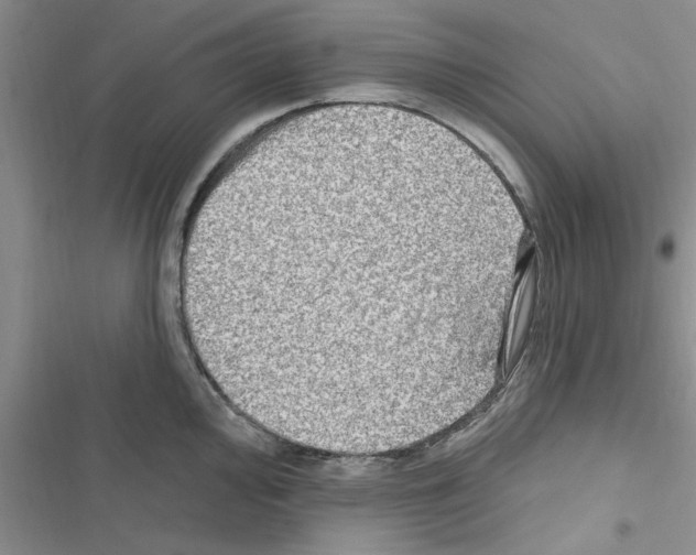 X0000116631000201001221357
