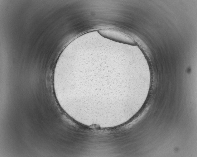 X0000116631001201001221357