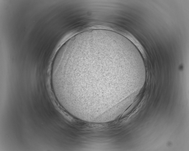 X0000116631002201001221357