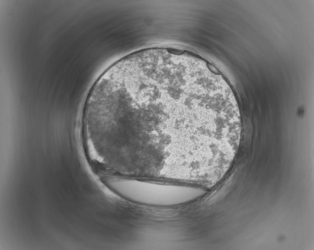 X0000116631007201001221357