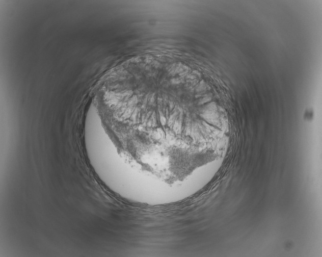 X0000116631009201001221356