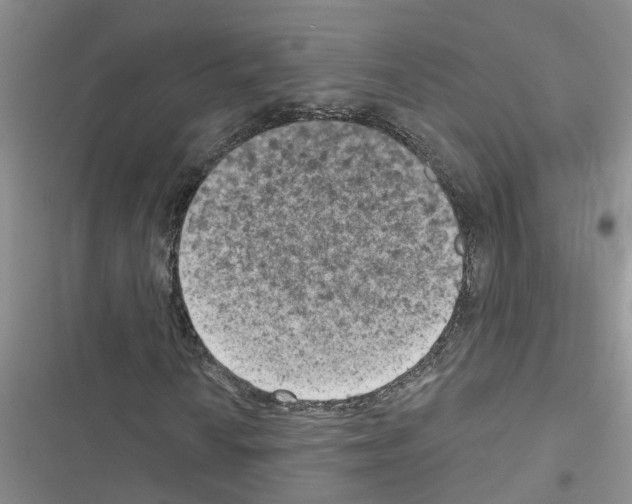 X0000116631010201001221356