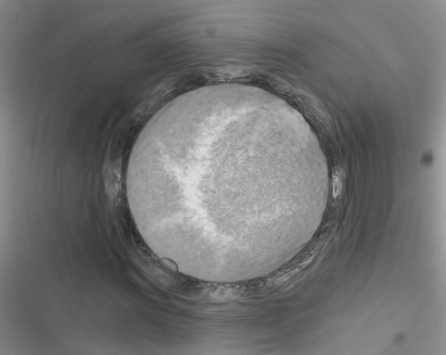 X0000116631011201001221356