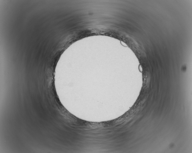 X0000116631012201001221356