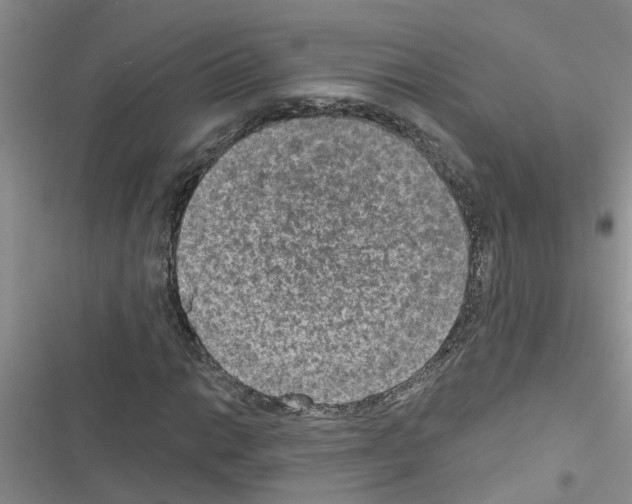 X0000116631014201001221356