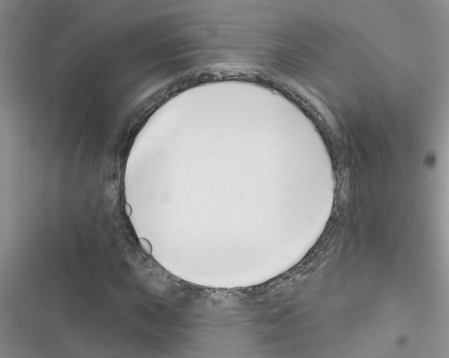 X0000116631015201001221356