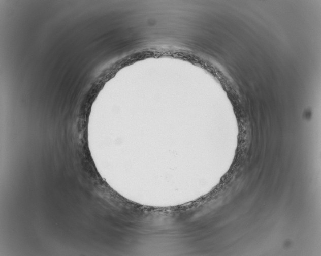 X0000116631016201001221356