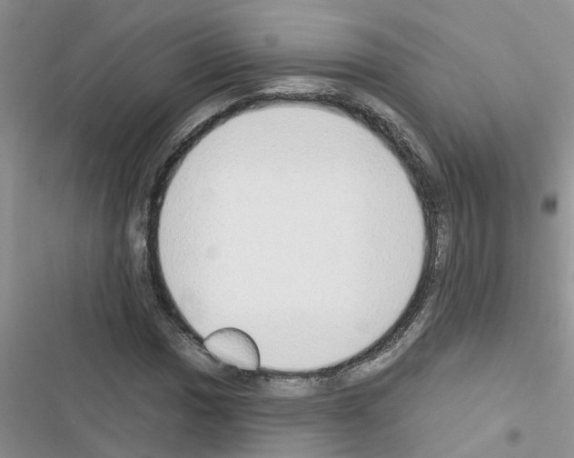 X0000116631017201001221356