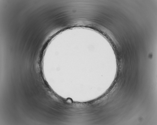 X0000116631018201001221356