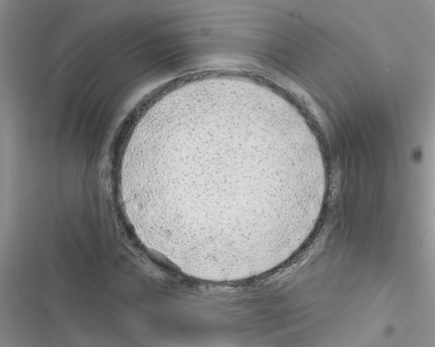 X0000116631019201001221356