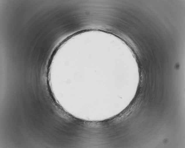 X0000116631020201001221356