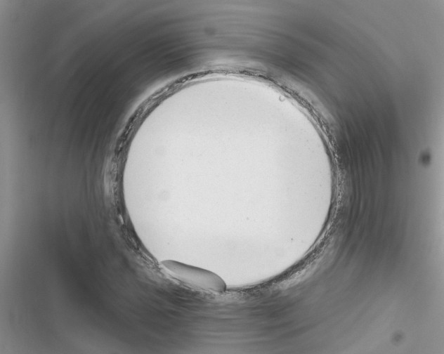 X0000116631021201001221356