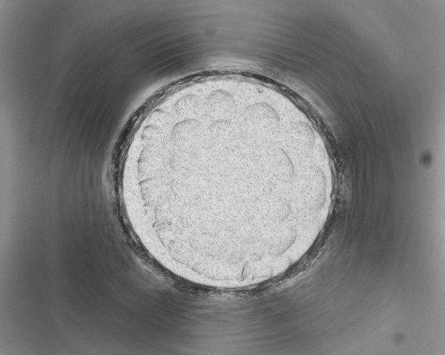 X0000116631022201001221356