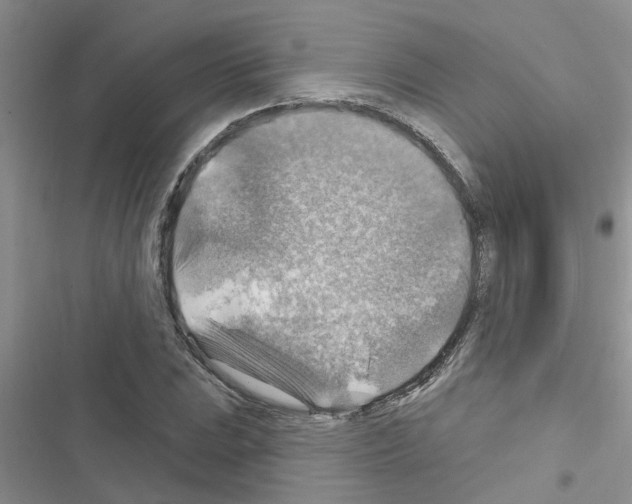 X0000116631023201001221356