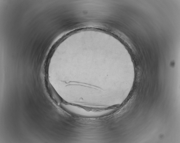 X0000116631024201001221356