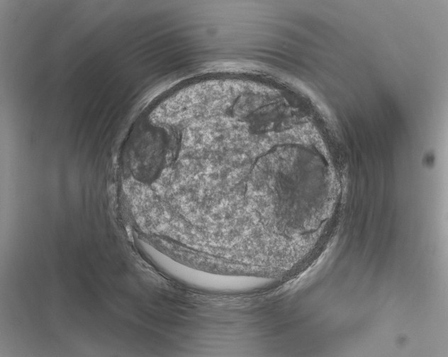 X0000116631025201001221356