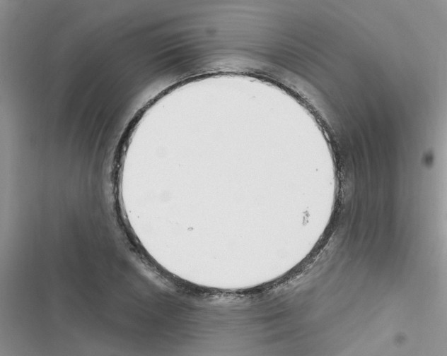 X0000116631026201001221356
