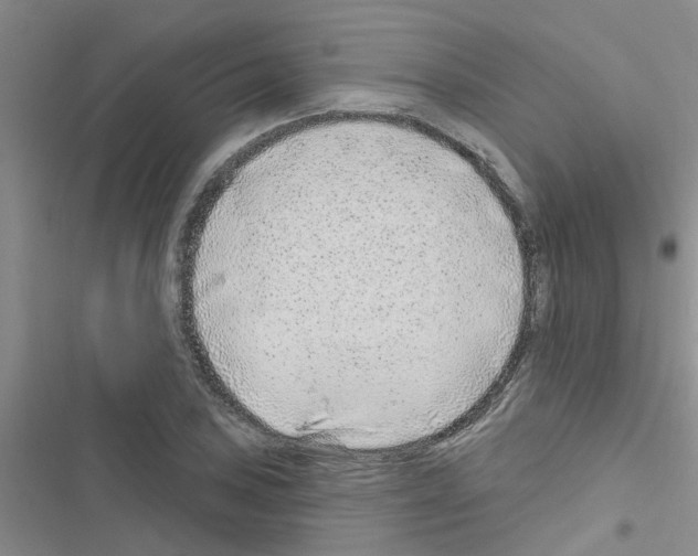 X0000116631027201001221356