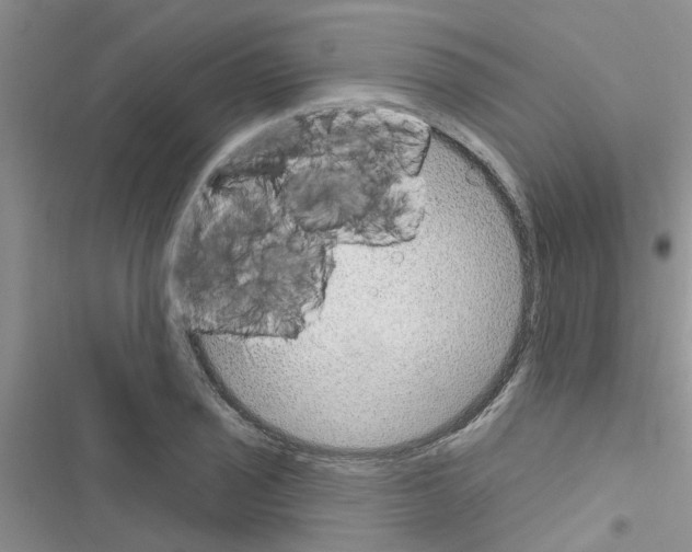 X0000116631029201001221356