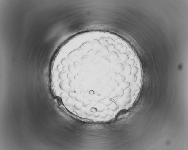 X0000116631030201001221356