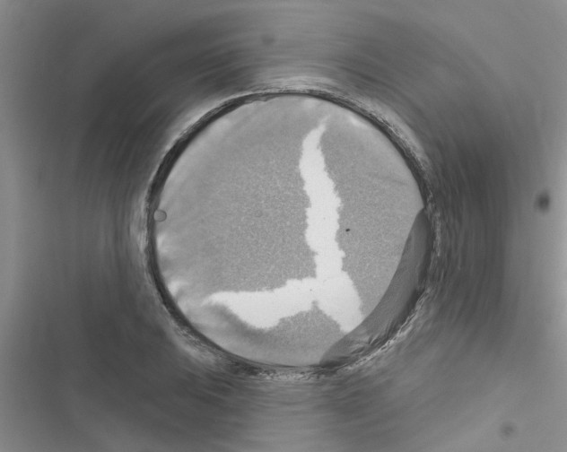X0000116631031201001221356
