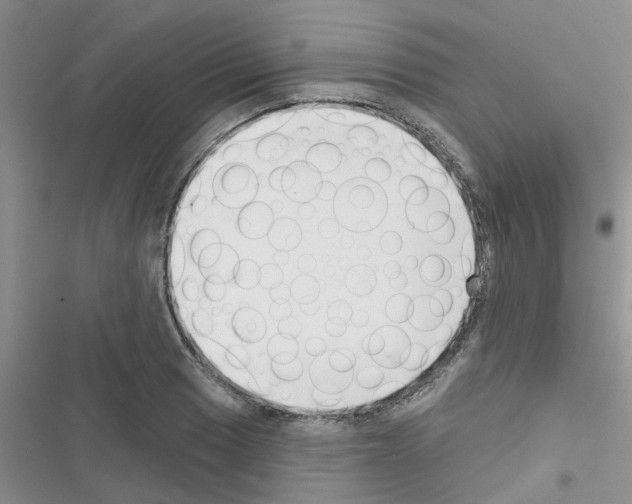 X0000116631033201001221356