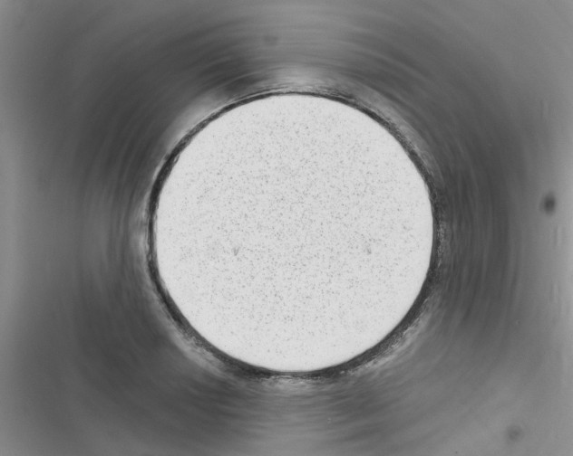 X0000116631034201001221356
