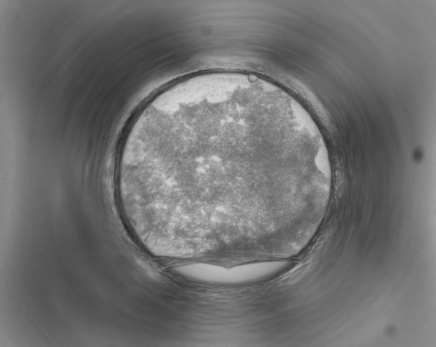 X0000116631035201001221356