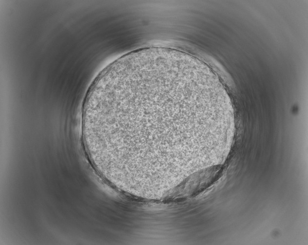 X0000116631036201001221356
