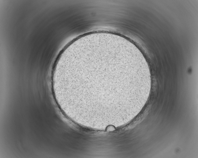X0000116631038201001221356