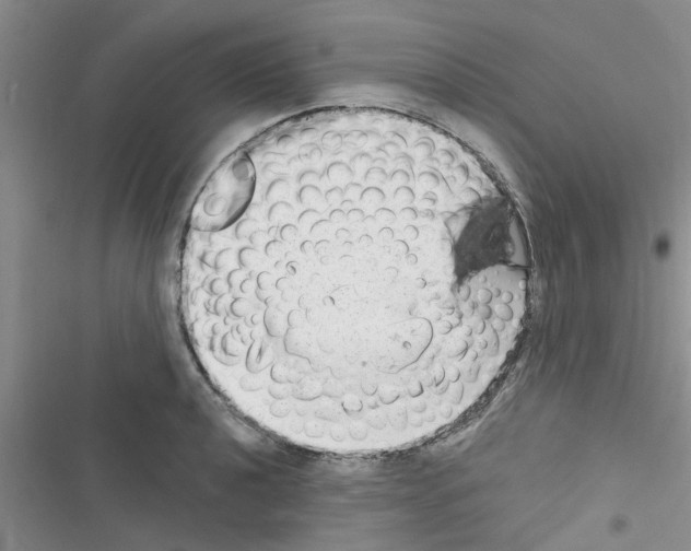 X0000116631040201001221356