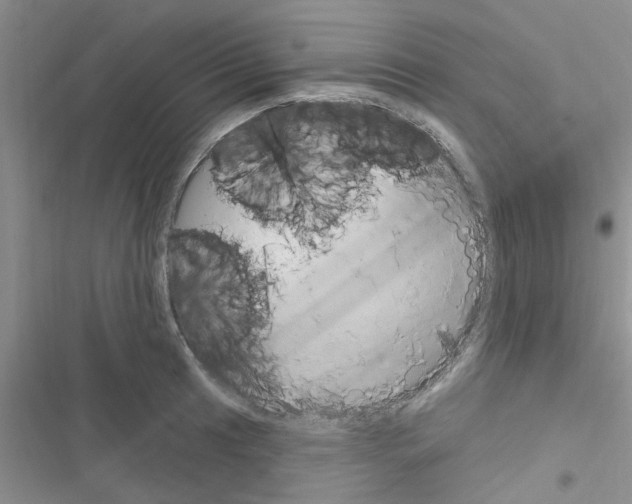 X0000116631041201001221356