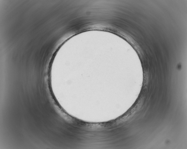 X0000116631042201001221356