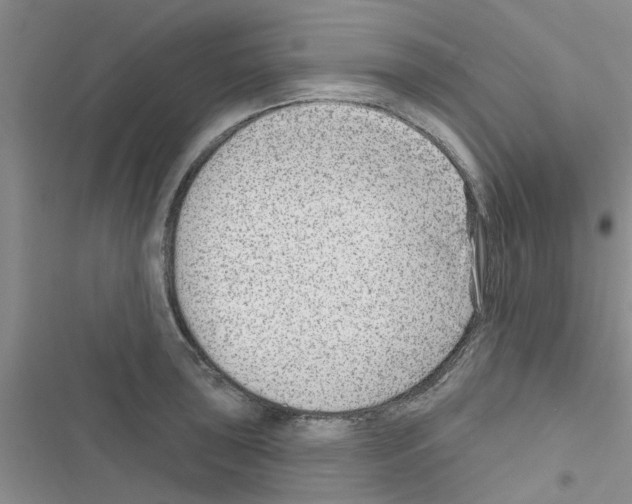 X0000116631043201001221356