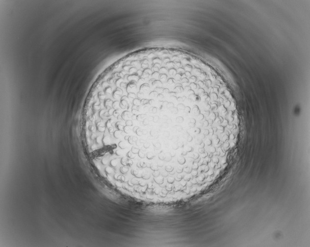 X0000116631044201001221356