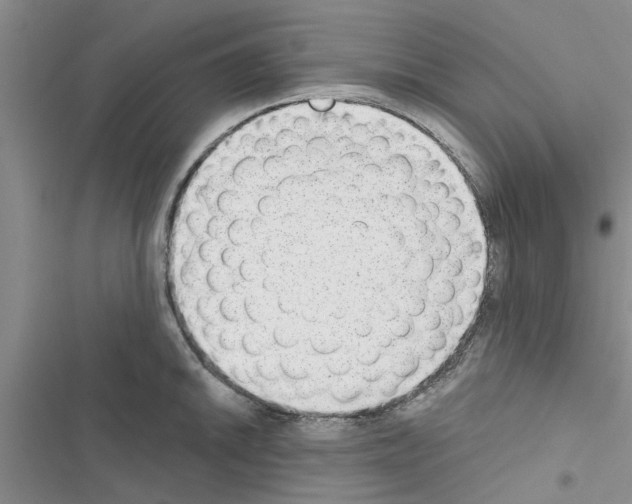 X0000116631046201001221356
