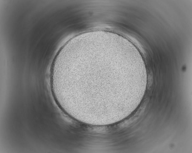 X0000116631047201001221356