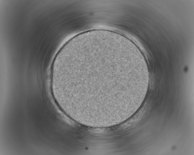 X0000116631048201001221356