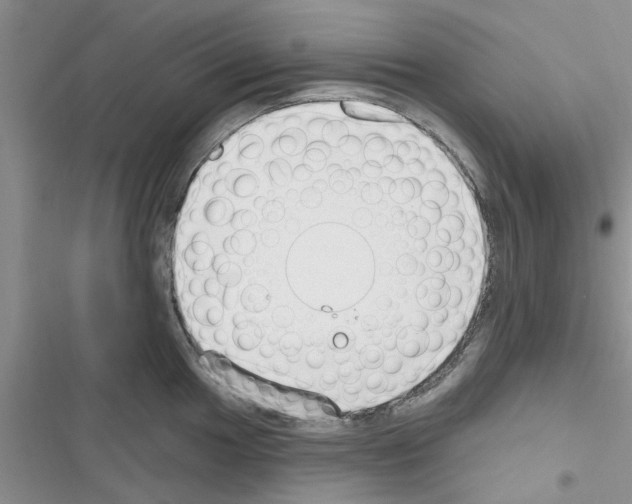 X0000116631049201001221356