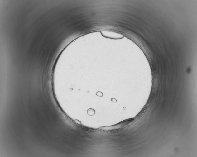 X0000116631050201001221356