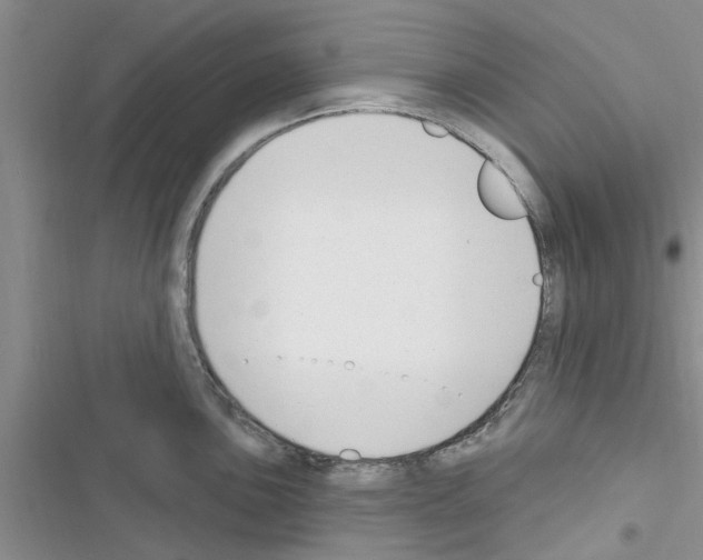 X0000116631051201001221357