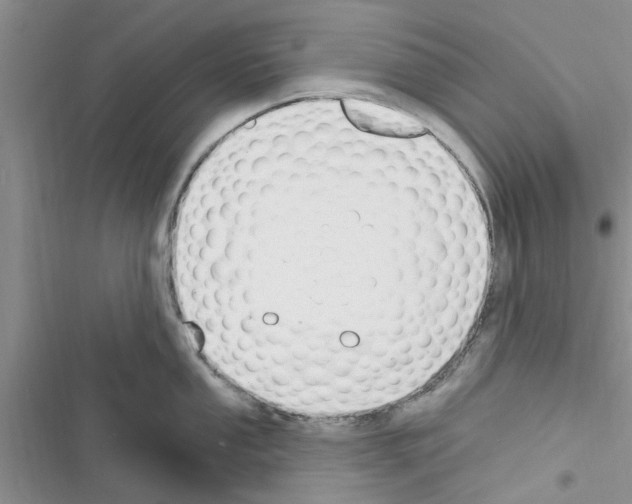 X0000116631053201001221357