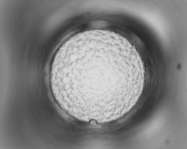 X0000116631054201001221357