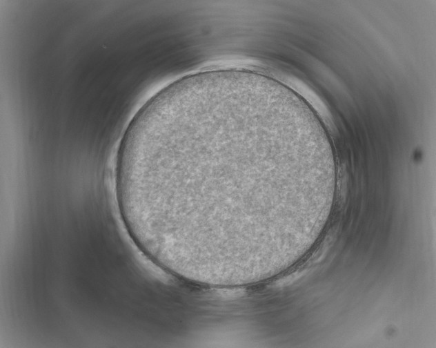 X0000116631055201001221357