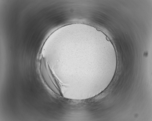 X0000116631056201001221357
